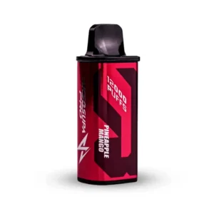 Akso Supa Pods 12000 Puffs